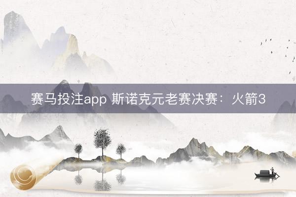 赛马投注app 斯诺克元老赛决赛：火箭3