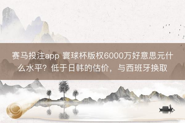 赛马投注app 寰球杯版权6000万好意思元什么水平？低于日韩的估价，与西班牙换取