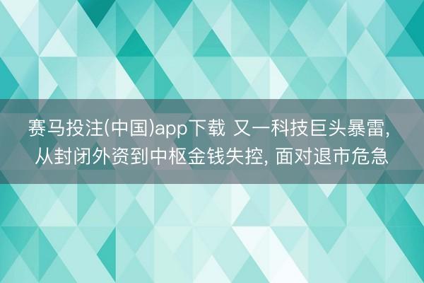 赛马投注(中国)app下载 又一科技巨头暴雷， 从封闭外资到中枢金钱失控， 面对退市危急