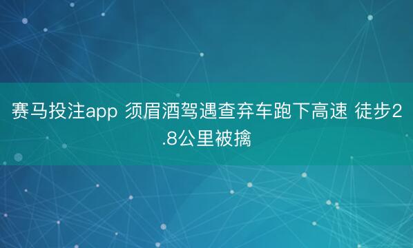 赛马投注app 须眉酒驾遇查弃车跑下高速 徒步2.8公里被擒