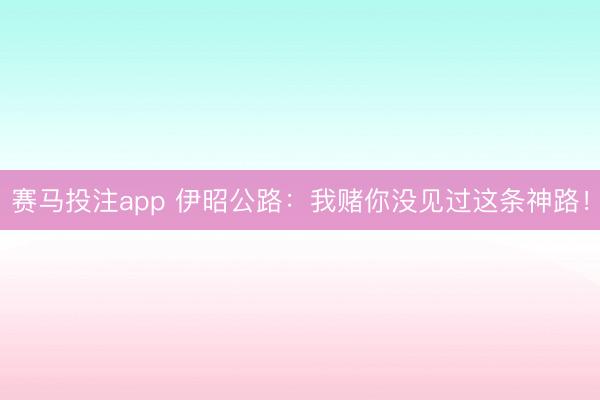 赛马投注app 伊昭公路：我赌你没见过这条神路！