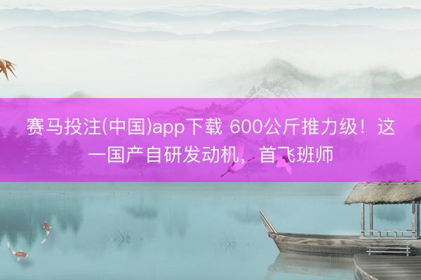 赛马投注(中国)app下载 600公斤推力级！这一国产自研发动机，首飞班师