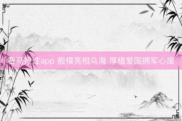 赛马投注app 舰模亮相乌海 厚植爱国拥军心扉