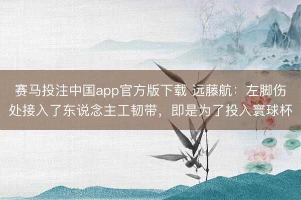 赛马投注中国app官方版下载 远藤航：左脚伤处接入了东说念主工韧带，即是为了投入寰球杯