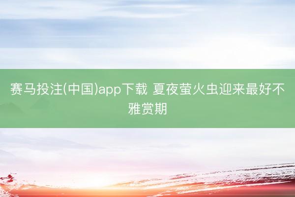赛马投注(中国)app下载 夏夜萤火虫迎来最好不雅赏期