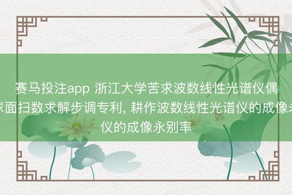 赛马投注app 浙江大学苦求波数线性光谱仪偶次非球面扫数求解步调专利， 耕作波数线性光谱仪的成像永别率