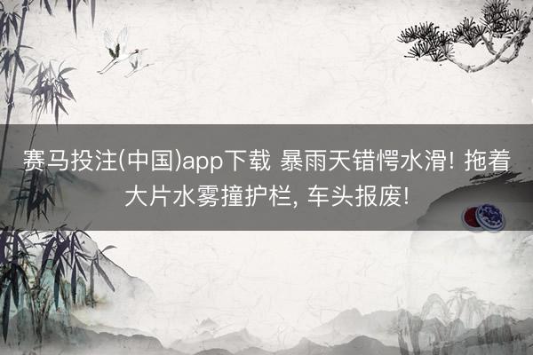 赛马投注(中国)app下载 暴雨天错愕水滑! 拖着大片水雾撞护栏， 车头报废!