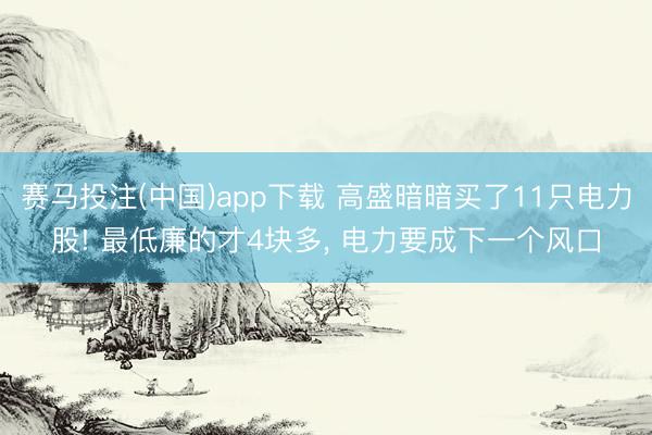 赛马投注(中国)app下载 高盛暗暗买了11只电力股! 最低廉的才4块多， 电力要成下一个风口