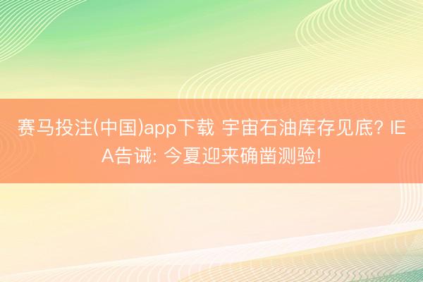 赛马投注(中国)app下载 宇宙石油库存见底? IEA告诫: 今夏迎来确凿测验!