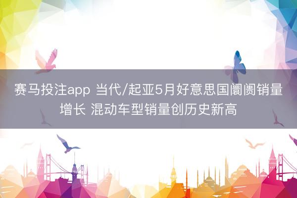 赛马投注app 当代/起亚5月好意思国阛阓销量增长 混动车型销量创历史新高