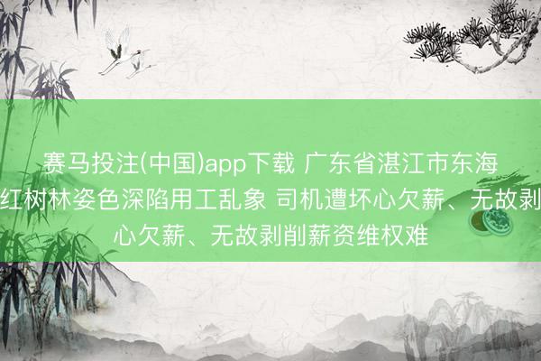 赛马投注(中国)app下载 广东省湛江市东海岛中交四航局红树林姿色深陷用工乱象 司机遭坏心欠薪、无故剥削薪资维权难