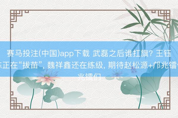 赛马投注(中国)app下载 武磊之后谁扛旗? 王钰栋正在“拔苗”， 魏祥鑫还在练级， 期待赵松源+邝兆镭们