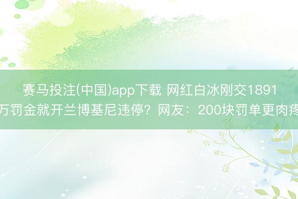 赛马投注(中国)app下载 网红白冰刚交1891万罚金就开兰博基尼违停？网友：200块罚单更肉疼
