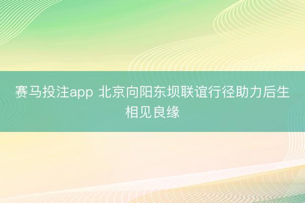 赛马投注app 北京向阳东坝联谊行径助力后生相见良缘