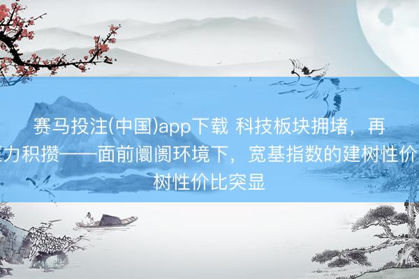 赛马投注(中国)app下载 科技板块拥堵，再平衡压力积攒——面前阛阓环境下，宽基指数的建树性价比突显