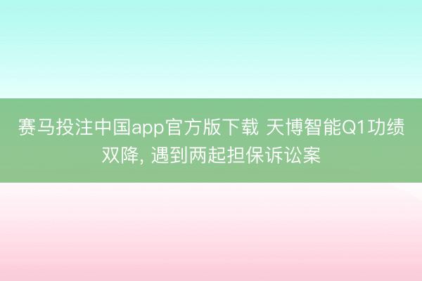 赛马投注中国app官方版下载 天博智能Q1功绩双降， 遇到两起担保诉讼案