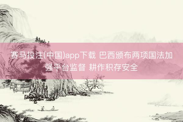 赛马投注(中国)app下载 巴西颁布两项国法加强平台监督 耕作积存安全