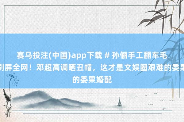 赛马投注(中国)app下载 # 孙俪手工翻车毛线帽刷屏全网!邓超高调晒丑帽,这才是文娱圈艰难的委果婚配