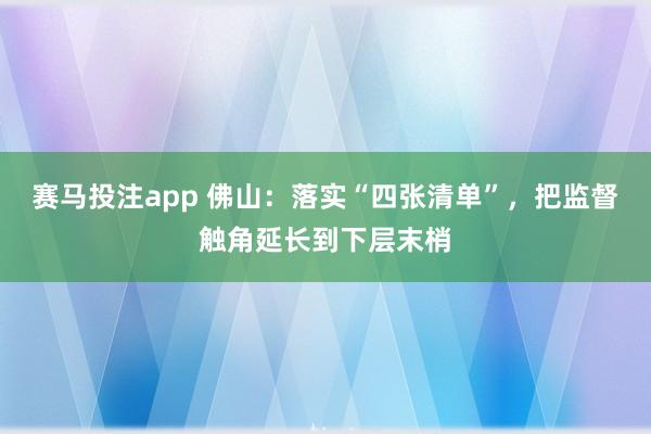 赛马投注app 佛山：落实“四张清单”，把监督触角延长到下层末梢