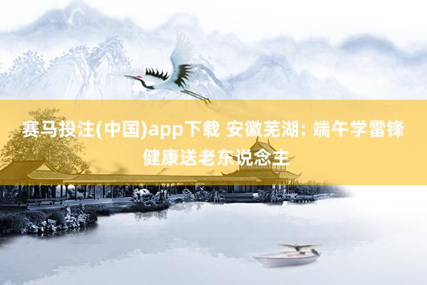 赛马投注(中国)app下载 安徽芜湖: 端午学雷锋 健康送老东说念主