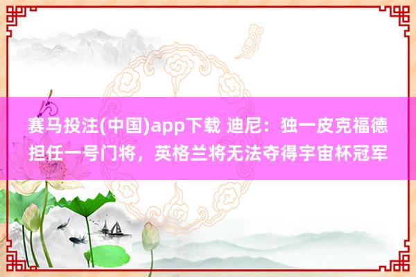 赛马投注(中国)app下载 迪尼:独一皮克福德担任一号门将,英格兰将无法夺得宇宙杯冠军
